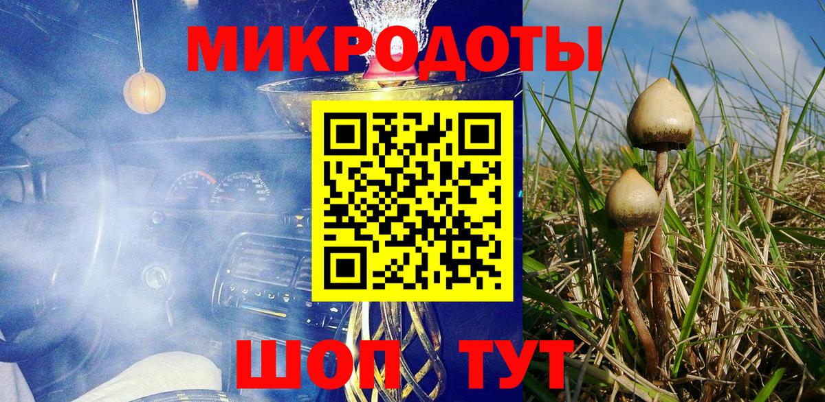 Галлюциногенные грибы Cubensis Юрга
